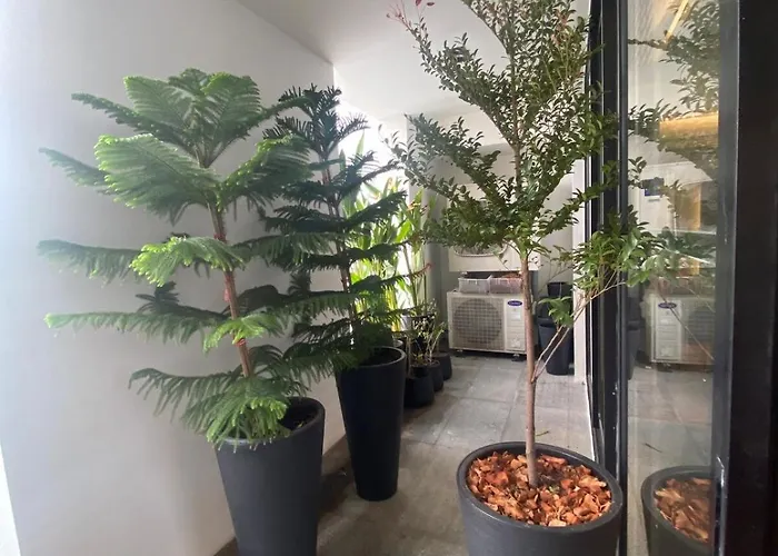 アパート 2br Penthouse In Thonglor With Gym